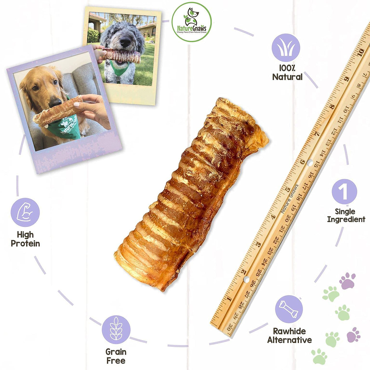 Nature Gnaws Beef Trachea for Dogs - Premium Natural Beef Bones - Simple Single Ingredient Crunchy Dog Chew Treats - Rawhide Free 12 Count (Pack of 1)