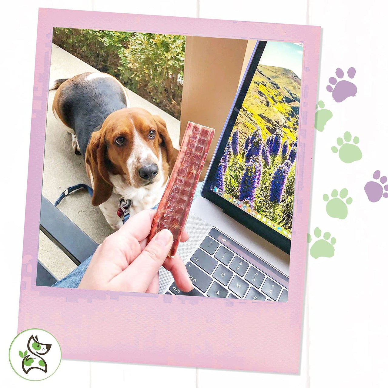 Nature Gnaws - Beef Jerky Chews for Small Dogs - Premium Natural Beef Gullet Sticks - Simple Single Ingredient Tasty Dog Chew Treats - Rawhide Free - 4-5 Inch 1 Count (Pack of 1)