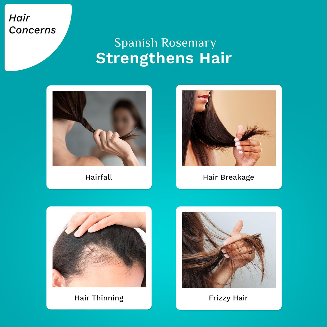 Pilgrim Spanish Rosemary Anti Hairfall Hair Mask, 200Gm With Biotin For Reducing Hair Fall & Strengthens Hair, 1 Count