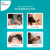 Pilgrim Spanish Rosemary Anti Hairfall Hair Mask, 200Gm With Biotin For Reducing Hair Fall & Strengthens Hair, 1 Count