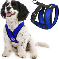 Gooby Comfort X Head In Harness - Blue, Medium - No Pull Small Dog Harness, Patented Choke-Free X Frame - Perfect on the Go Dog Harness for Medium Dogs No Pull or Small Dogs for Indoor and Outdoor Use Medium Chest (14.25-18.75