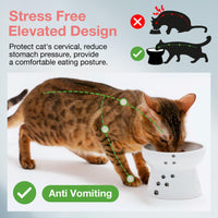 Necoichi Raised Stress Free Cat Food Bowl, Elevated, Backflow Prevention, Dishwasher and Microwave Safe, No.1 Seller in Japan! (Cat, Regular)