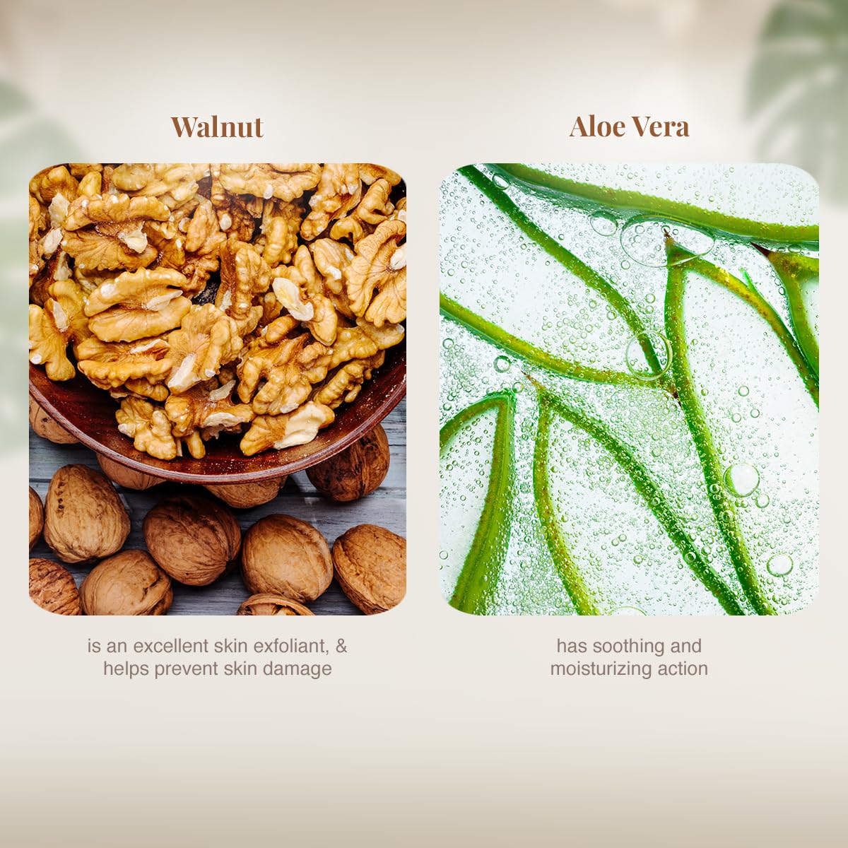 VLCC Walnut Face Scrub - 80g | Moisturizing Scrub For Mild Exfoliation | Helps Reduce Skin Damage | Soothing, Calming and Brightening Scrub | Tanning Protection Against Sun Damage.