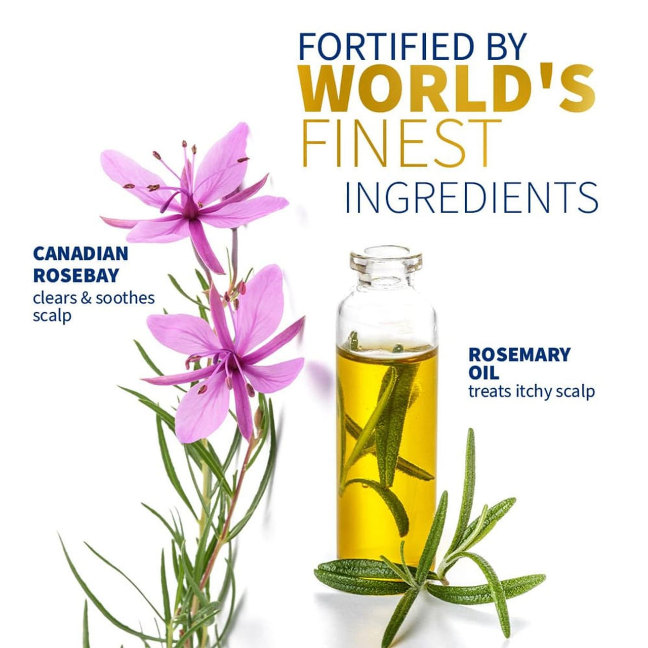 TryOnes Pre Botic Shampoo Damage Repairing your Hair Cuticle & Giving Frizz Control - Premium Hair Care 1000 ml