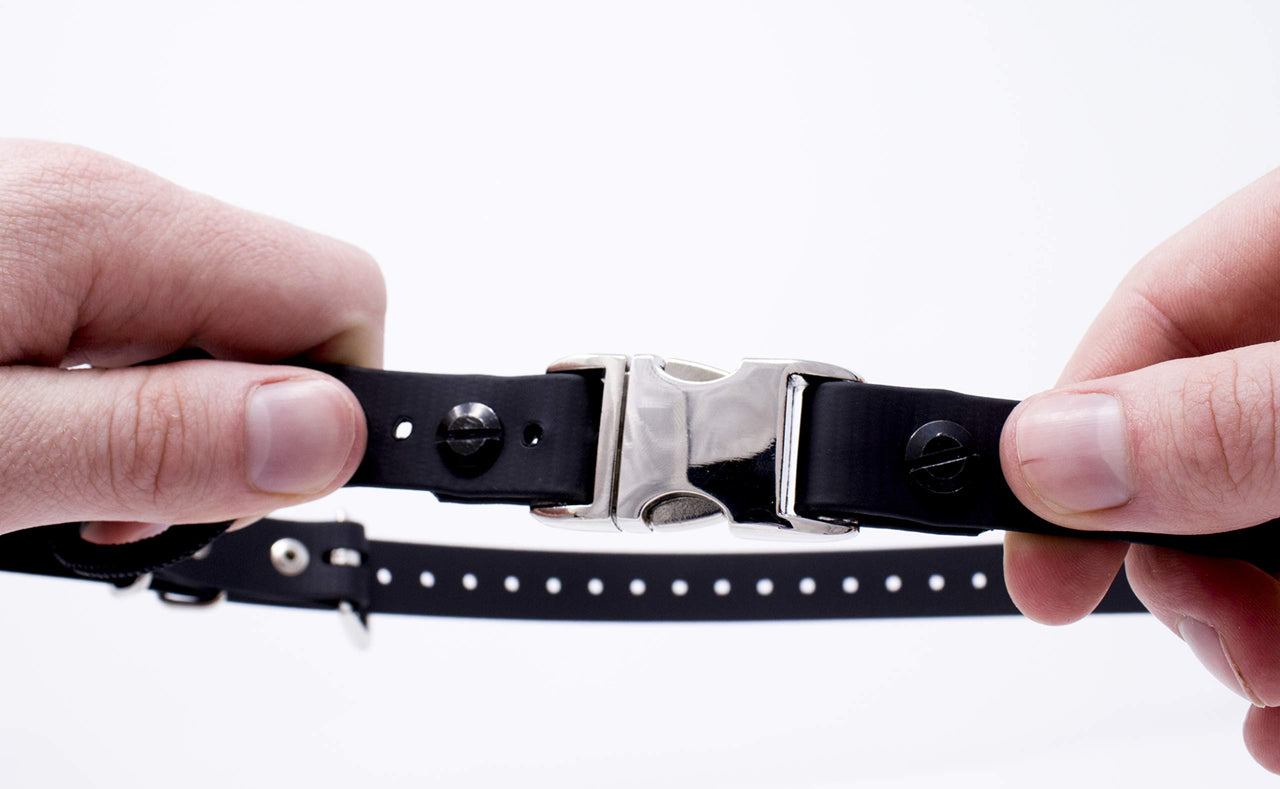 Educator Quick Snap Bungee Dog Collar, Biothane, Waterproof, Odorproof, Easy Connect and Disconnect Clasp and D Ring with Comfort Bungee Loop, Adjustable for Custom Fit, 3/4-Inch, Black 3/4" Wide Fits 300, 400, 500, 900 Series
