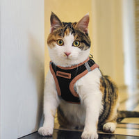 Voyager Step-in Air Dog Harness - All Weather Mesh Step in Vest Harness for Small and Medium Dogs by Best Pet Supplies - Orange Trim, XL Harness (Black/Orange Trim) XL (Chest: 20.5 - 23