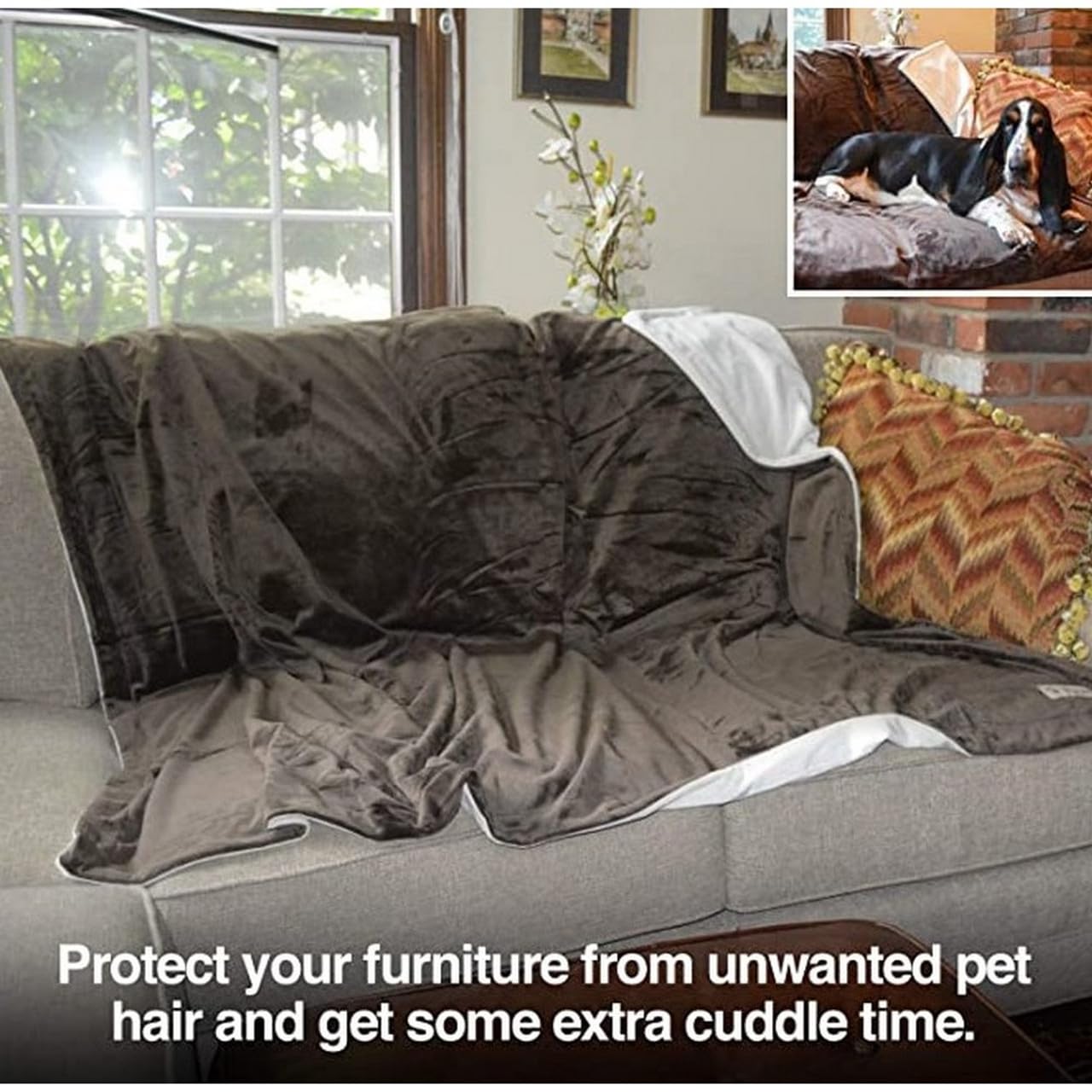 PetFusion Premium Dog Blanket, Cat Blanket | Ultra Soft Pet Blanket Available in Plush or Quilted, 2 Colors (Grey, Brown) | Perfect Blanket for Small Dogs & Large Dogs. 12 Month Warranty X-Large 60 X 48"