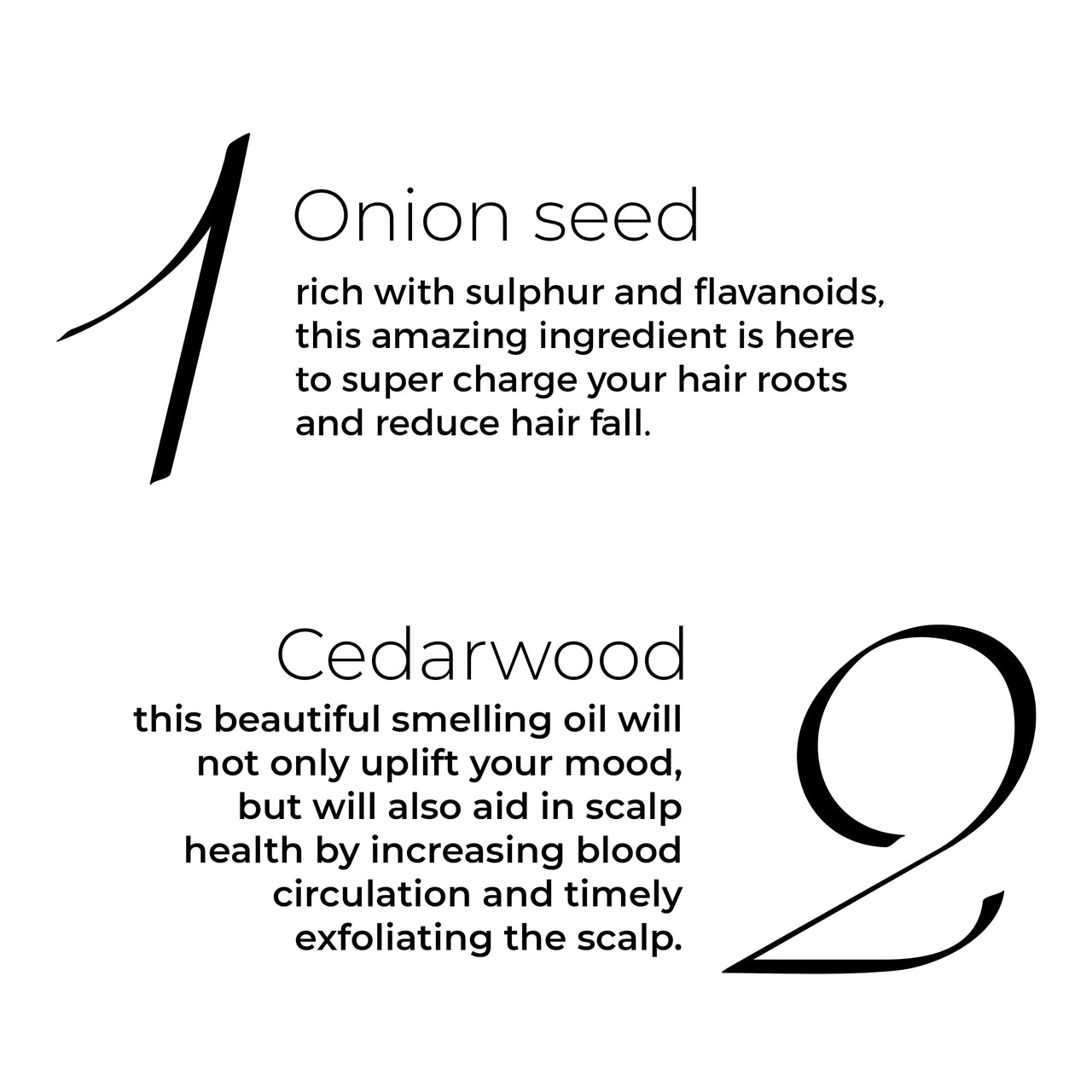 Brillare Onion Hair Oil with the Goodness of Cedar Wood & Sunflower Oil Helps in Hair Fall Control, 100% Natural Hair Oil With Refreshing Fragrance, 100ml