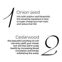 Brillare Onion Hair Oil with the Goodness of Cedar Wood & Sunflower Oil Helps in Hair Fall Control, 100% Natural Hair Oil With Refreshing Fragrance, 100ml