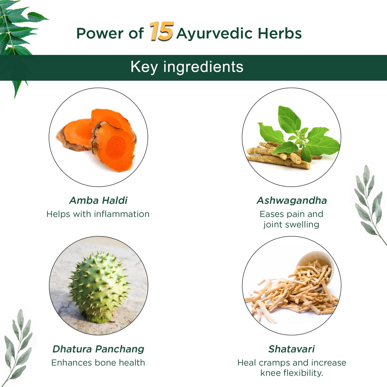 Vansaar Rhuma Care Massage Oil - 100 ml | Long lasting relief | Suitable for Knee, Neck, Back, Joint Pains | 100% Ayurvedic Formula