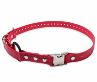 Educator Quick Snap Bungee Dog Collar, Biothane, Waterproof, Odorproof, Easy Connect and Disconnect Clasp and D Ring with Comfort Bungee Loop, Adjustable for Custom Fit, 1-Inch, Red 1