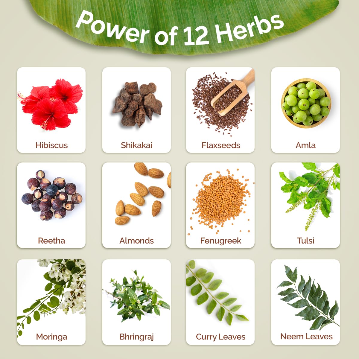 Mamaearth Kerala Thaali Conditioner 250 millilitre with Hibiscus, Amla, Reetha & Methi Dana for Smooth, Thick & Long Hair|Soft & Shiny Hair |12 Potent 100% Natural Herbs |Kerala Expertise