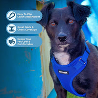 Voyager Step-in Lock Pet Harness - All Weather Mesh, Adjustable Step in Harness for Cats and Dogs by Best Pet Supplies - Royal Blue, S