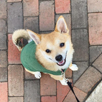 Gooby Stretch Fleece Vest Dog Sweater - Forest Green, Small - Warm Pullover Fleece Dog Jacket - Winter Dog Clothes for Small Dogs Boy - Dog Sweaters for Small Dogs to Dog Sweaters for Large Dogs Small Length (9