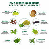 INDUS VALLEY Bio Organic Herbal Henna Powder, 100g*4=400g - Green