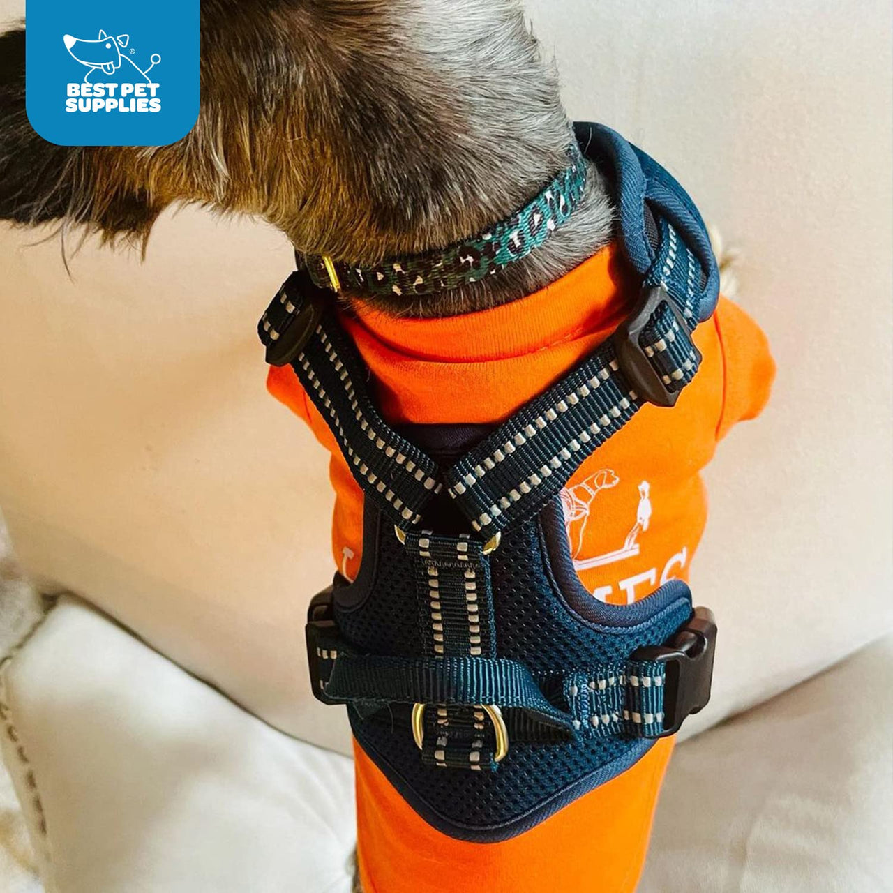 Air Frontier Mesh Dog Harness with Steel Leash D-Ring, Reflective Stitching, and Lightweight Breathable No-Pull Design, Adjustable Neck and Chest Straps for Small to Large Breeds - BUW, XS