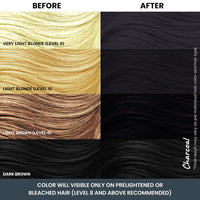 2.Oh! Italian Charcoal Grey Hair Color DIY Kit | Semi-Permanent Color + Bleach for Highlights | With Plex & Argan Oil | Lightening Kit for Women & Men