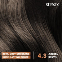 Streax Permanent Hair Colour, 100% Grey coverage, Infused with Argan and Walnut Oil, Long Lasting Cream Hair Colour for Women, Brown Hair Colour, 4.3 Golden Brown, 120 ml, Pack of 1