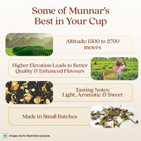 1868 by Tata Tea, Jasmine Green, Munnar Green Tea with Jasmine Oil, Handpicked Whole Leaf, Light, Aromatic, Sweet, From House of TATA (25 cups/50g)