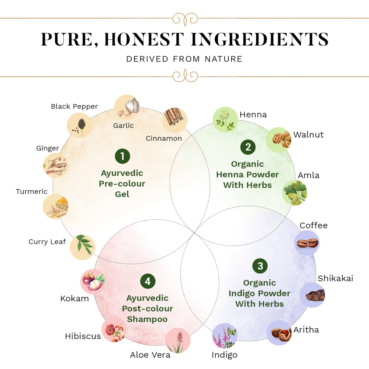 SESA 4 Step Natural Hair Colour Kit - For HIGH GREY% - 100% Organic & Ayurvedic - NO Ammonia, PPD, Peroxide, 200gm + 40ml