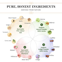 SESA 4 Step Natural Hair Colour Kit - For HIGH GREY% - 100% Organic & Ayurvedic - NO Ammonia, PPD, Peroxide, 200gm + 40ml