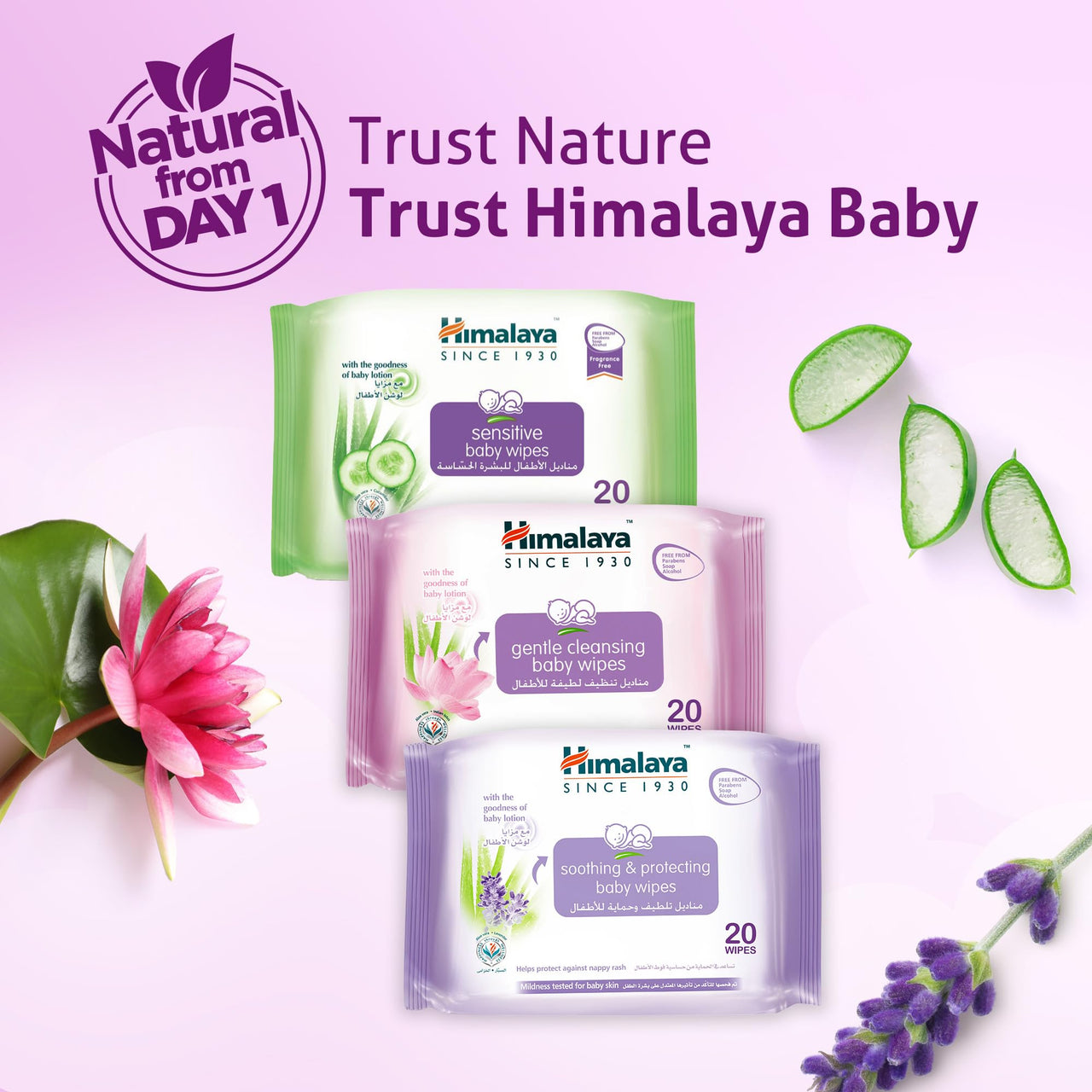 Himalaya Gentle Baby Wipes (24 Wipes)