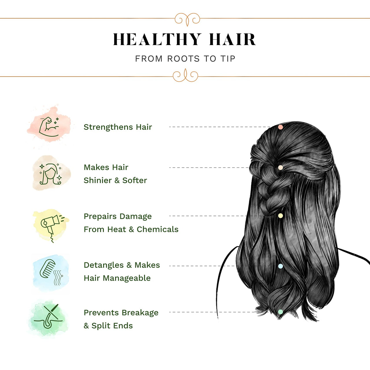 SESA Onion Conditioner with Reetha & Shikakai | Hair Growth & Hair Fall Control | No Sulphates, Parabens, Silicones & Artificial Color | 300 ml (Pack of 1)