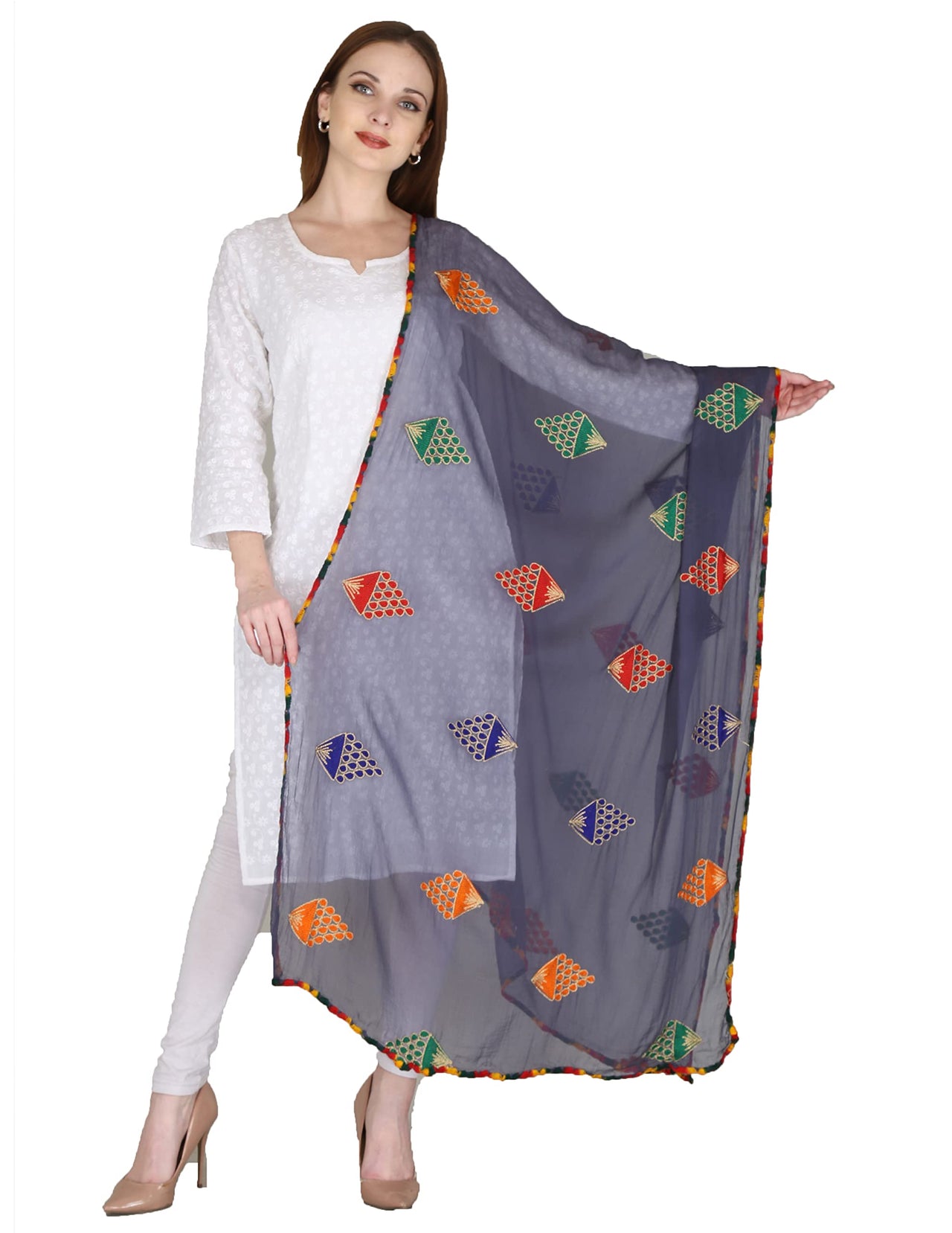 DIAMO Embroidered Chiffon Women's  Dupatta