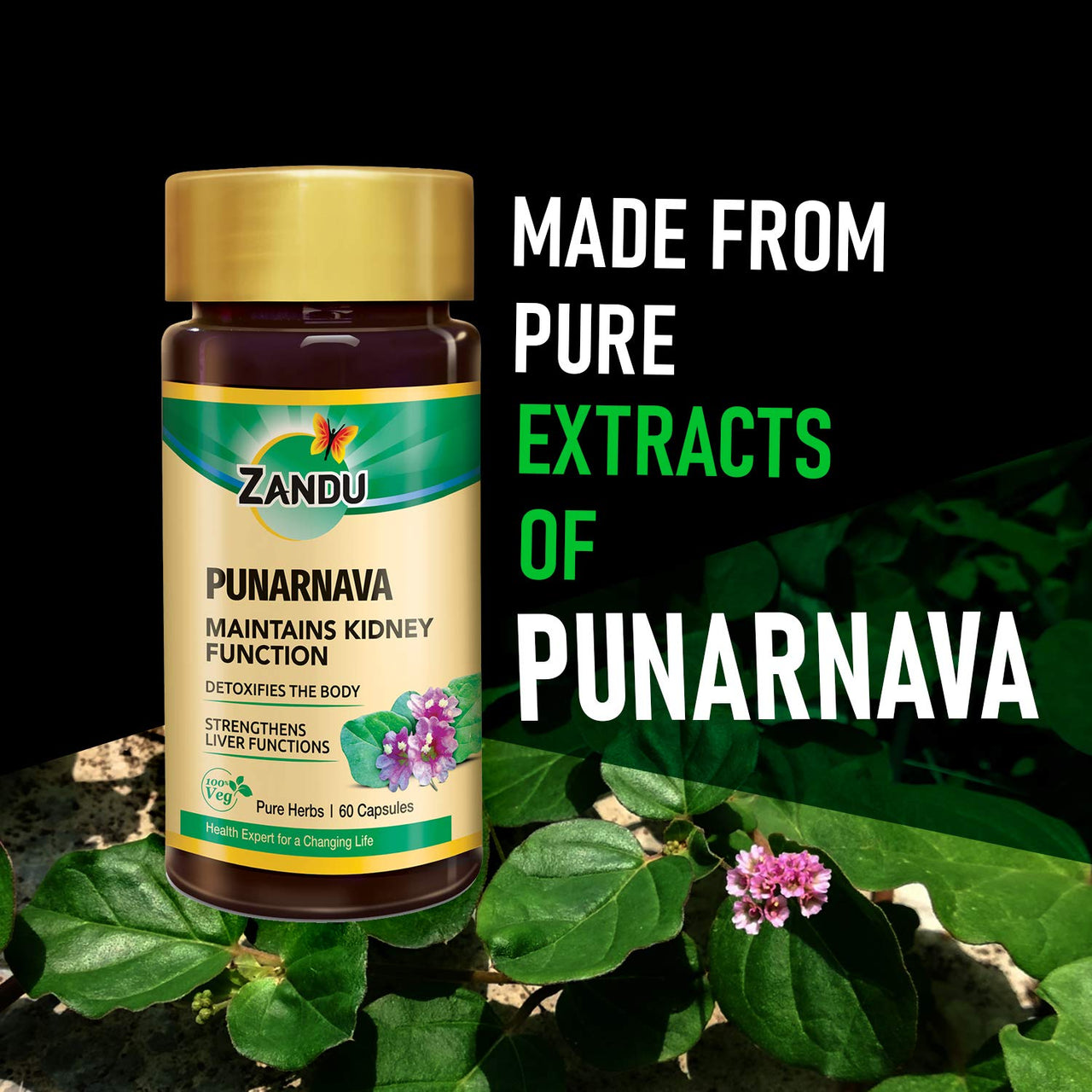 Zandu Punarnava Capsules, With Goodness of Natural Punarnava Extract known for Good Gut Health & for Healthy Appetite, Helps for Heart and Urinary Health - 60 Veg capsules