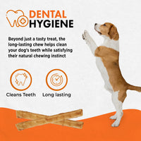 Canine Naturals Chicken Recipe Chew - Rawhide Free Dog Treats - Made From USA Raised Chicken - All-Natural and Easily Digestible - 40 Pack of 5 Inch Stick Chews 1 Count (Pack of 40)