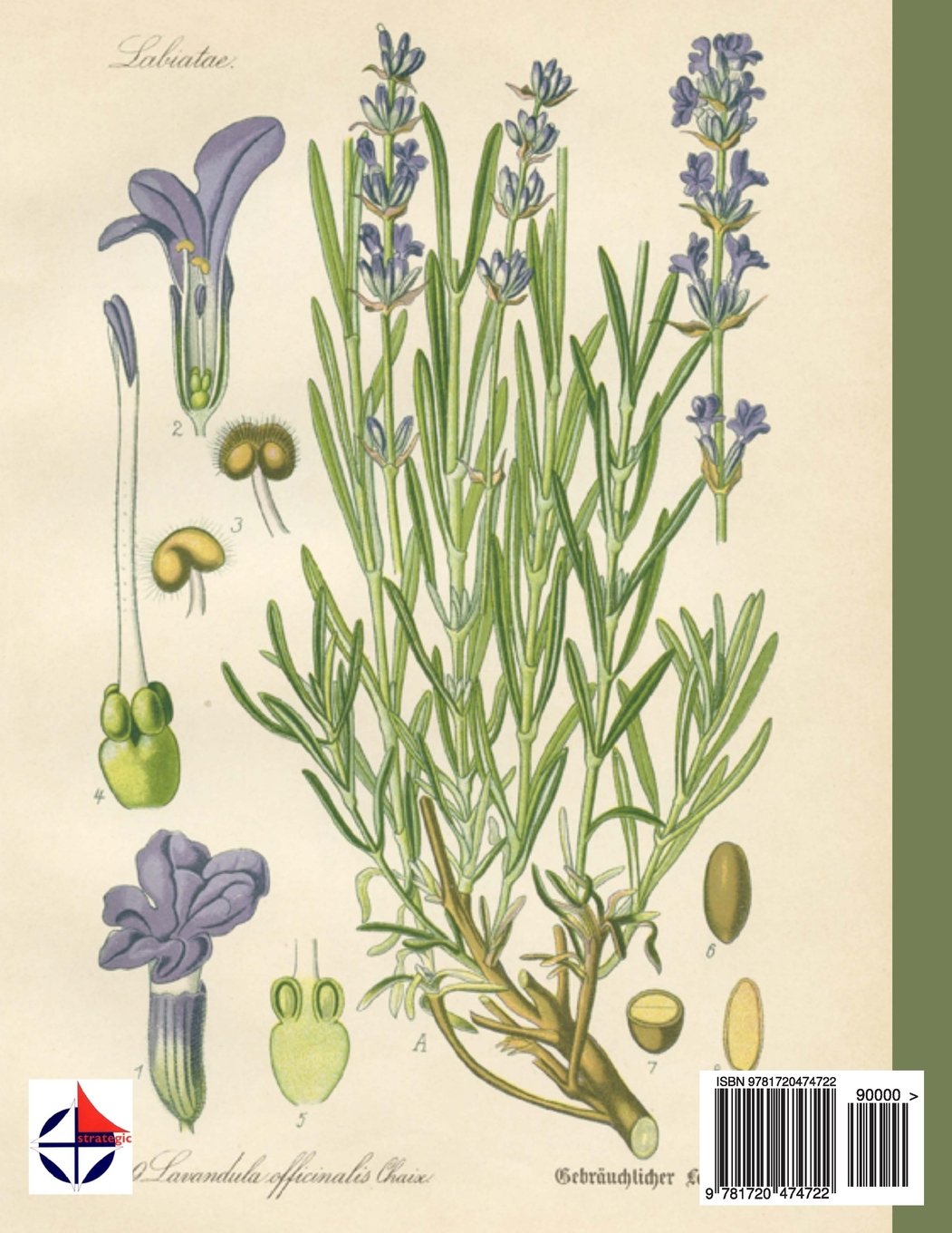 3 Year Journal: Plant Grow Harvest: 3 Year Journal: Theme Design 8.5"x 11" Paperback undated Perpetual Planner 150 pages (Undated 3 year weekly monthly Journal)