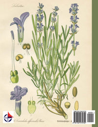 3 Year Journal: Plant Grow Harvest: 3 Year Journal: Theme Design 8.5