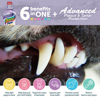 Dental Fresh Advanced Plaque and Tartar Water Additive, 17oz – Dog Teeth Cleaning Formula to Freshen Breath and Improve Overall Oral Health 17 oz