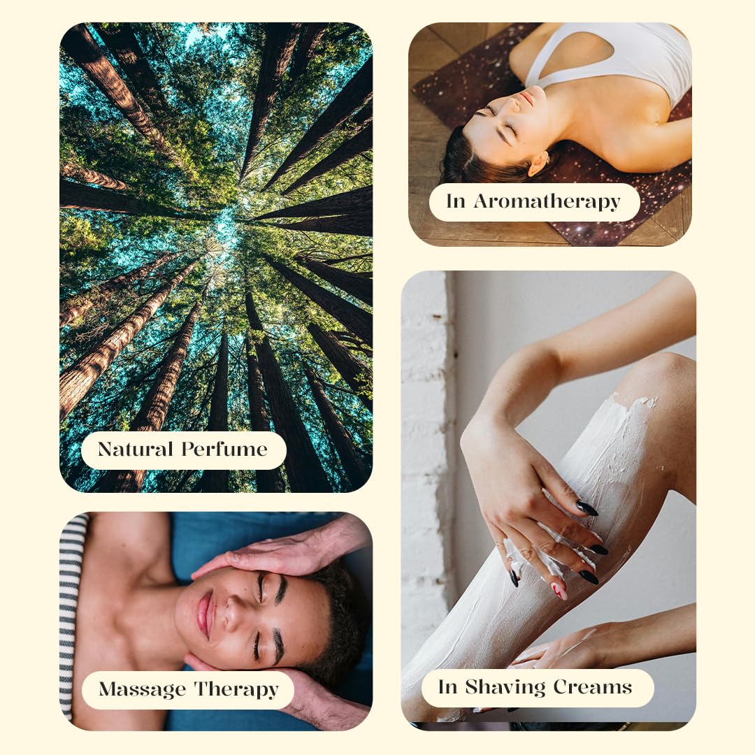 Luxurious VANILLA Essential Oil |Therapeutic Grade|Organic & Natural | Ultra Premium and Concentrated Essential Oil for Home, Diffusers, Skin, Aromatherapy, Bath, Massage,Humidifiers, Soap and Candle making| 30 ml