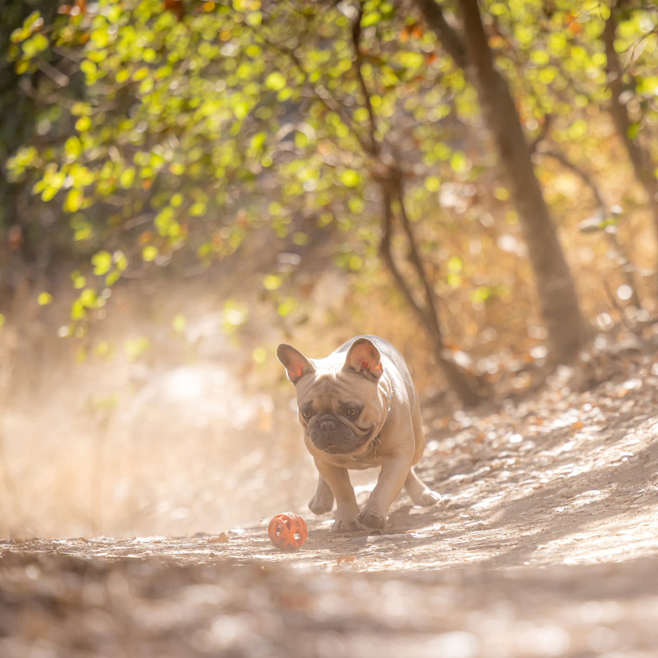 Chuckit Air Fetch Ball Dog Toy, Small (2 Inch Diameter), for dogs 0-20 lbs, Pack of 2