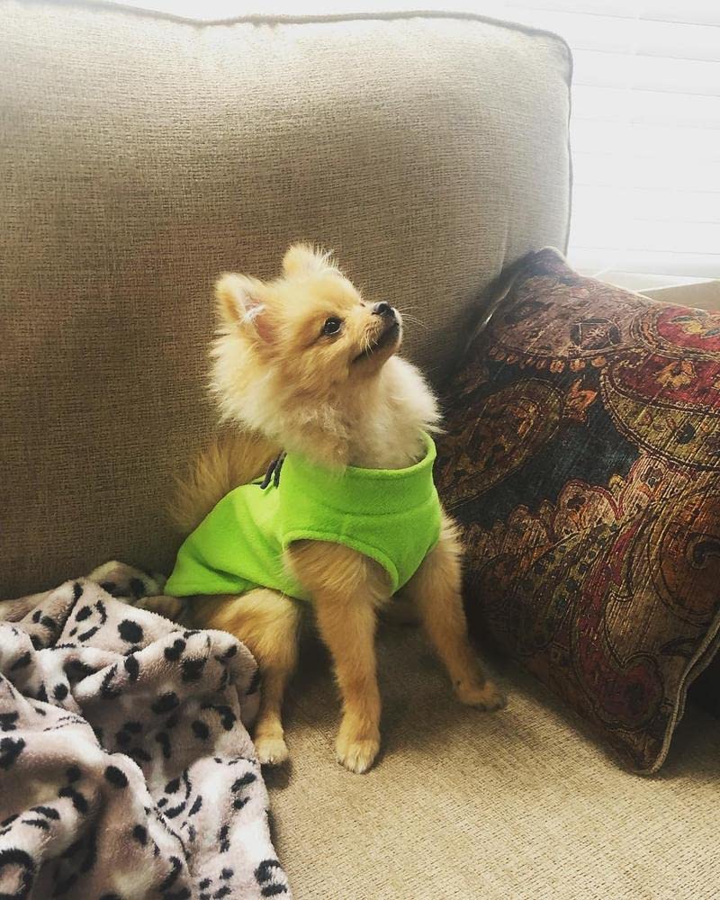 Gooby Fleece Vest Dog Sweater - Lime, Large - Warm Pullover Fleece Dog Jacket with O-Ring Leash - Winter Small Dog Sweater Coat - Cold Weather Dog Clothes for Small Dogs Boy or Girl Large (Around 18-lb)