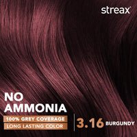 Streax Permanent Hair Colour, 100% Grey coverage, Infused with Argan and Walnut Oil, Long Lasting Cream Hair Colour for Women, Burgundy Hair Colour, 3.16 Burgundy, Colourant Tube 60g, Developer Bottle 60ml, Conditioner 20g
