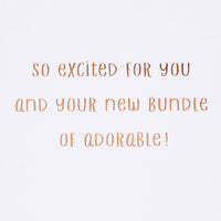 American Greetings New Baby Card (New Bundle of Adorable) New Bundle of Adorable