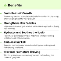 Avimee Herbal Super Saver Combo for Hair Growth & Hair Fall | Rosemary Water (200mL) | Rosemary Oil (100mL)