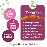 Nature Gnaws Mixed Beef Tendons & Paddywack for Dogs - Premium Natural Beef Dental Bones - Long Lasting Tasty Dog Chew Treats - Puppy Training Reward 8 Ounce (Pack of 1)
