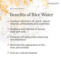The Face Shop Rice & Ceramide Moisturizing Cream with Rice Extracts for Skin Brightening | Ceramide Moisturizer For Skin Barrier Repair | Paraben & Paraffins Free, Korean skin care products, 50ml
