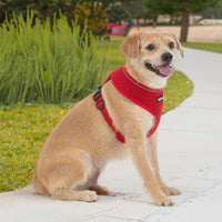 Aerolite No Pull Mesh Dog Harness with Lightweight, Soft, Breathable Chest Coverage, Reflective Stitching, and Adjustable Straps for Walking, Running, Training, Heavy Duty and Durable - Red, XL