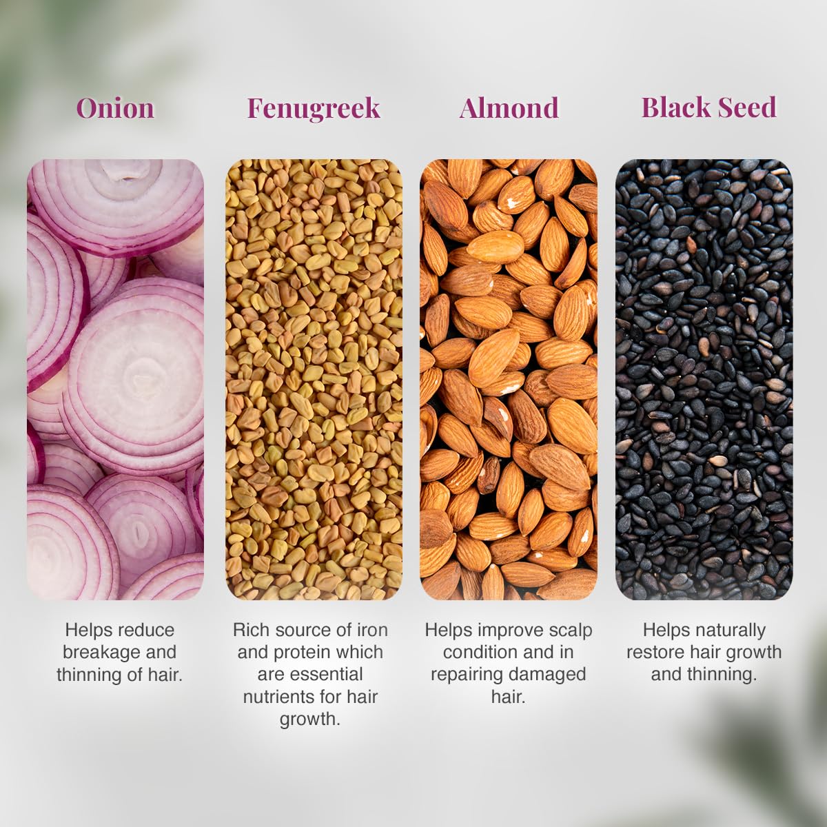 VLCC Onion & Fenugreek Hair Oil - 200ml | Deep Nourishing Hair Oil for Strengthening Hair Follicles. Thicker, Stronger, Frizz-Free Hair | Paraben Free | with Onion, Fenugreek, Almond & Black Seed