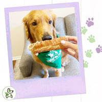 Nature Gnaws Beef Trachea for Dogs - Premium Natural Beef Bones - Simple Single Ingredient Crunchy Dog Chew Treats - Rawhide Free 12 Count (Pack of 1)