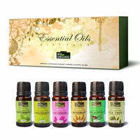 INDUS VALLEY 100% Pure Essential Oils Gift Pack - Peppermint oil,Lemongrass oil, Rosemary oil,Lavender oil,Eucalyptus oil,Tea Tree oil - 10ml * 6=60ml (Pack of 6)