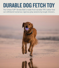 Planet Dog Orbee-Tuff Strobe Ball Glow-in-The-Dark Light Up LED Dog Toy