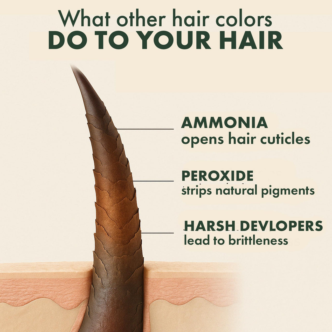 SACRED HERBS Ammonia & PPD Free Natural Organic Gel Hair Color for Men & Women | pH Neutral | Long Lasting Color with 100% Grey Coverage 160ml+20gm (MEDIUM BROWN, 180 ML)