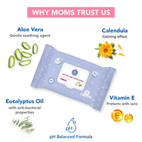 The Moms Co Rash Free Baby Wet Wipes, 99% pure water, 100% plant-based with Aloe Vera, Calendula, Eucalyptus Oil & Vitamin E | Anti-bacterial, Allergen Free & Non-Irritating - Pack of 1