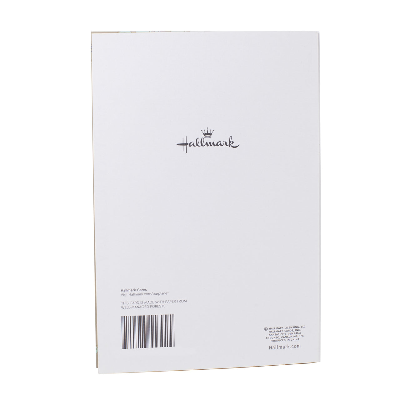 Hallmark Birthday Card to Father (Best Kind of Dad)