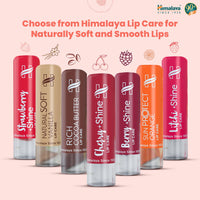 Himalaya Shine Lip care